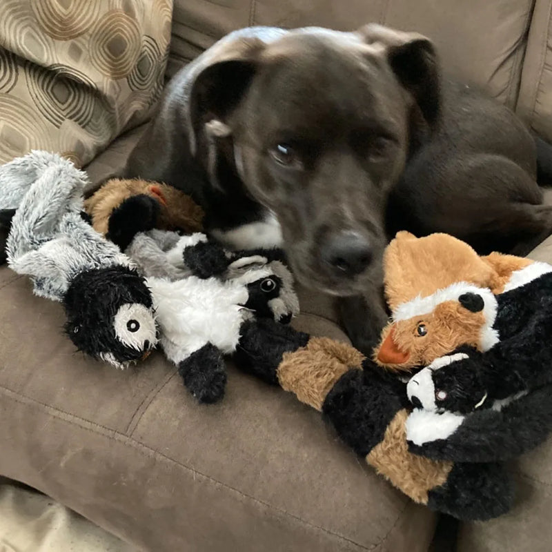 Brinquedo de Pelúcia Sem Enchimento para Cachorros